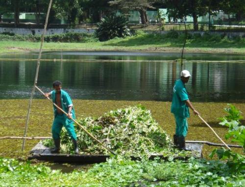 Funcionários fazendo a limpeza do lago